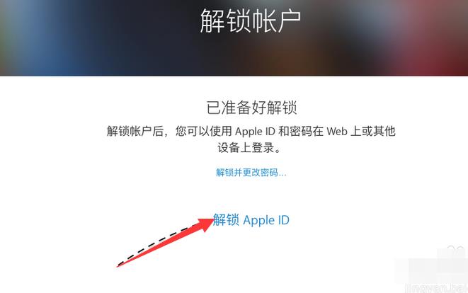 苹果平板被id锁定了怎么解锁(7)