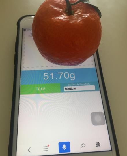 怎么用苹果手机称重(4)