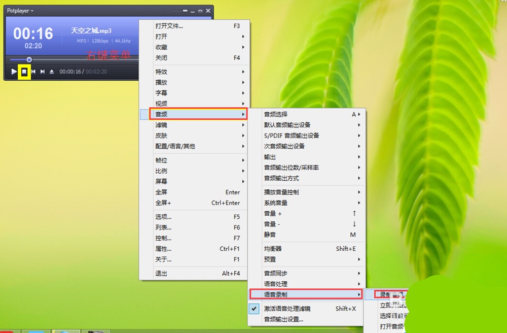 完美解码怎么转换格式(2)