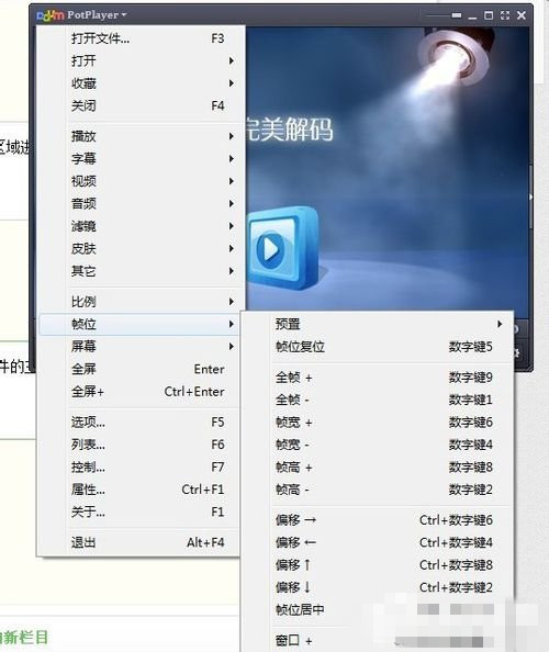 完美解码怎么用(4)