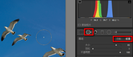 如何使用lightroom污点去除工具(1)