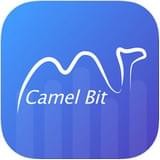 骆驼比特