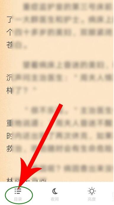 怎么查疯读小说目录(2)