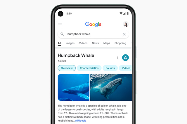 Google移动搜索的重新设计侧重于结果 而不是多余的装饰