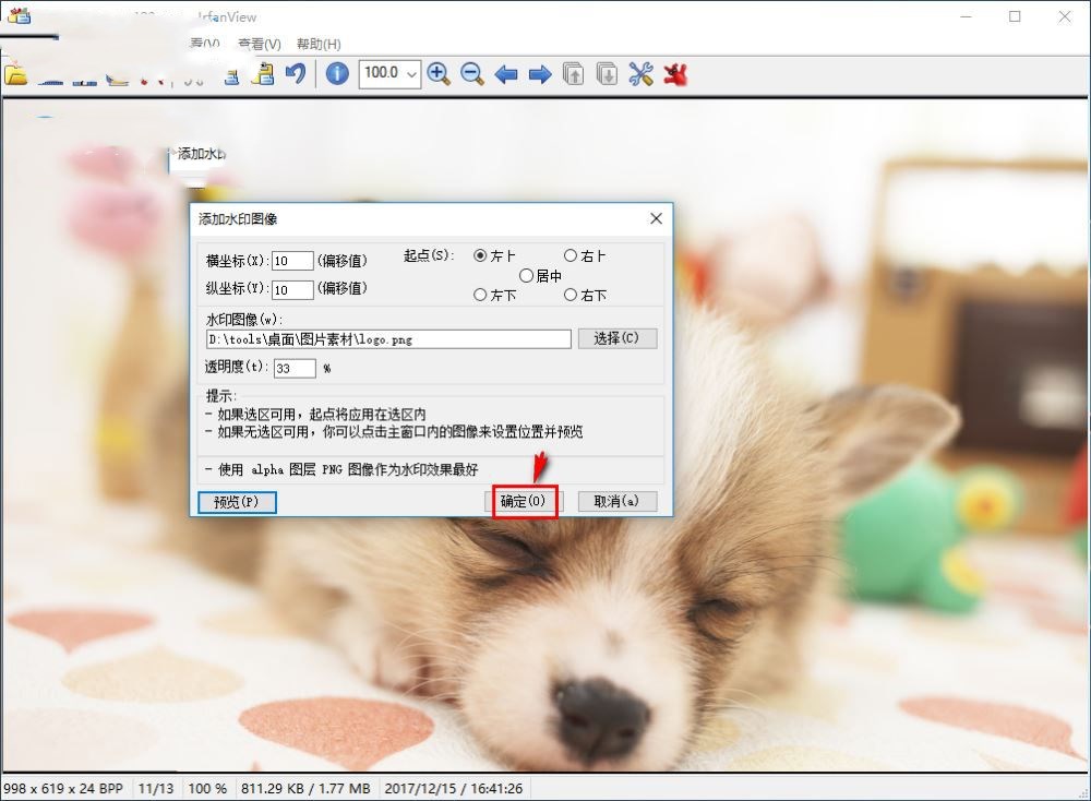 irfanview如何给图片加水印(9)