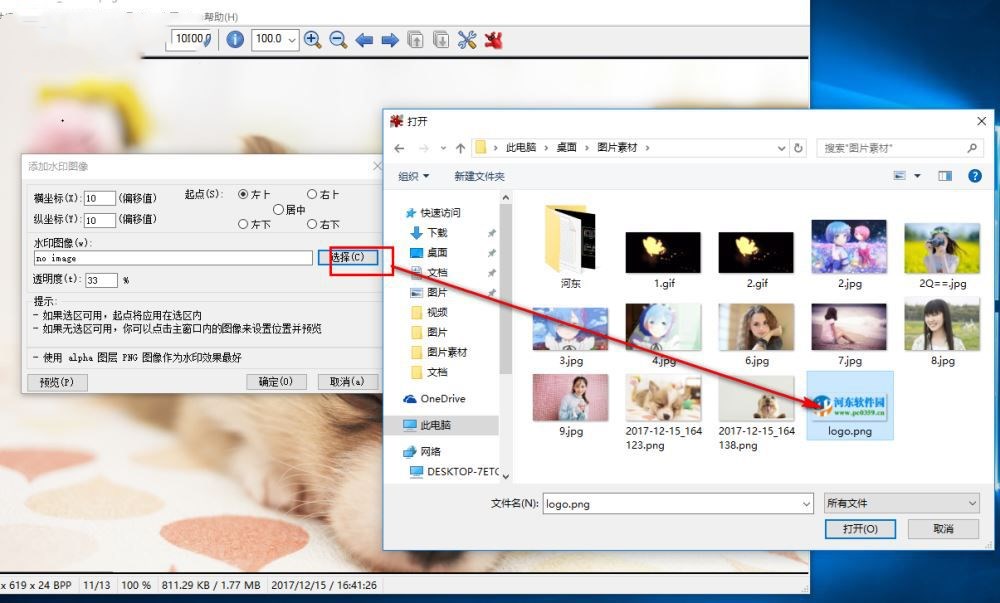 irfanview如何给图片加水印(5)