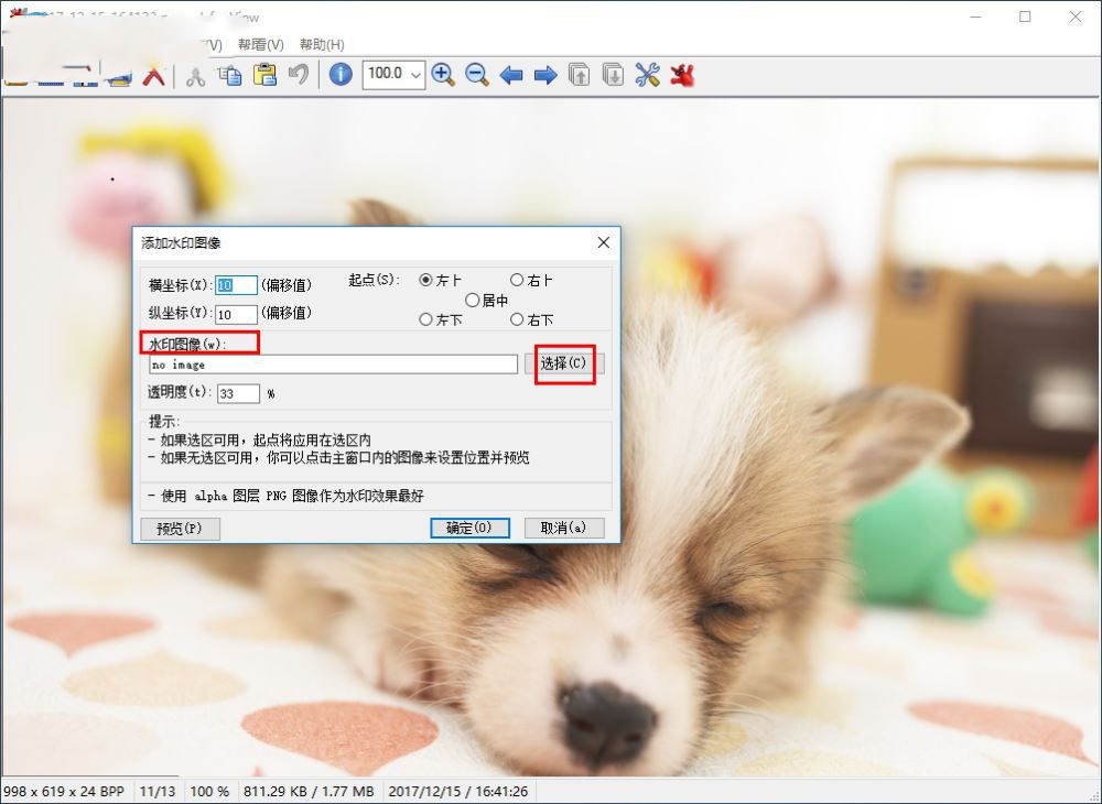 irfanview如何给图片加水印(4)