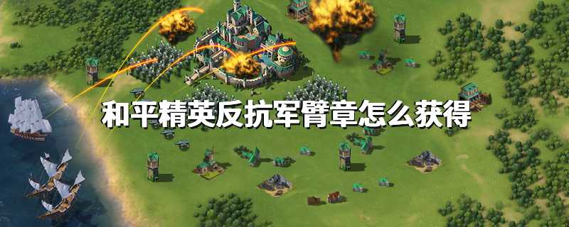 和平精英反抗军臂章怎么获得