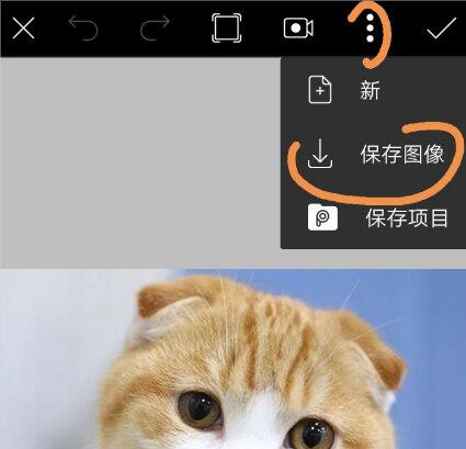 安卓版picsart怎么保存图片(1)