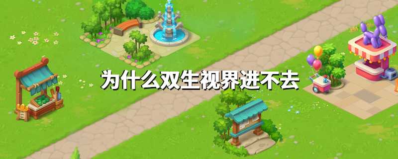 为什么双生视界进不去