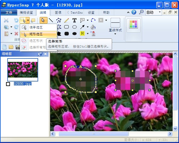 hypersnap图像如何添加水印(4)