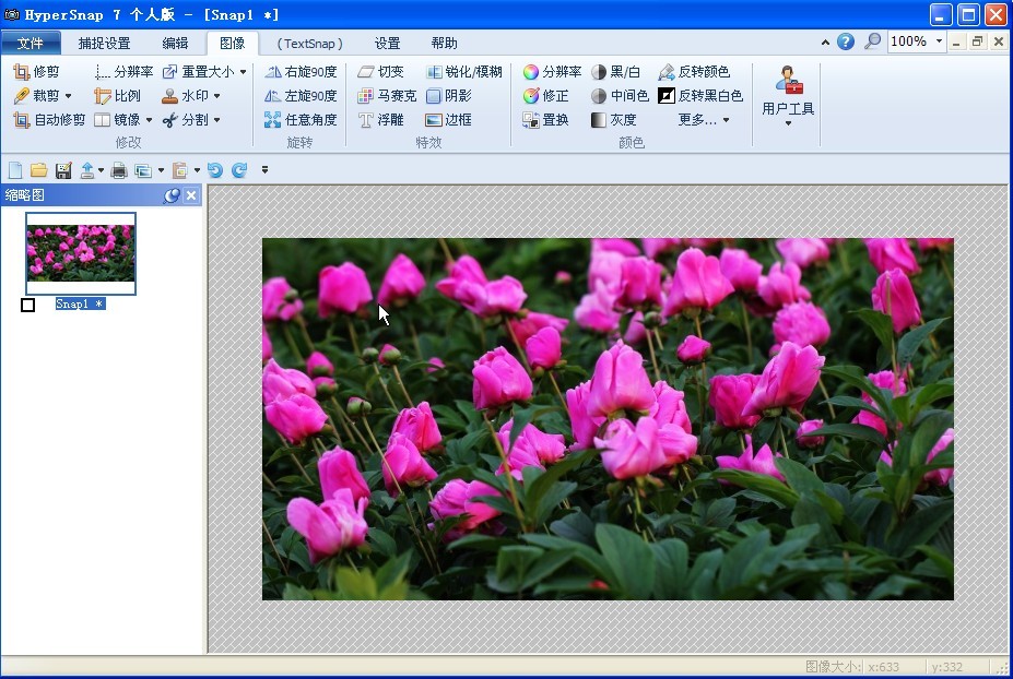 hypersnap图像如何添加水印