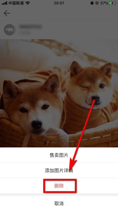 怎么在fotor上删除照片(4)