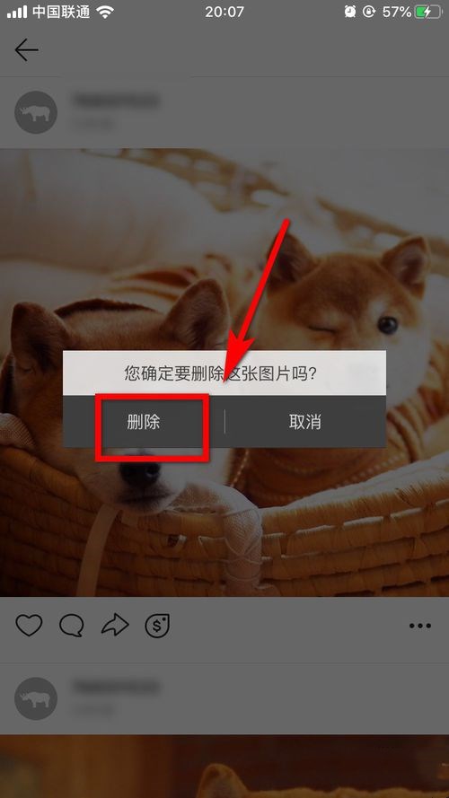怎么在fotor上删除照片(5)