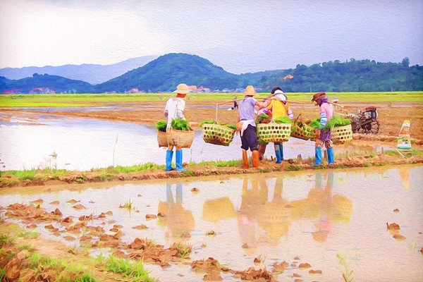 Topaz Simplify(PS图片增强插件)
