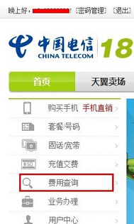 中国电信如何查询详细账单(1)