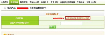 中国电信如何查询详细账单(4)