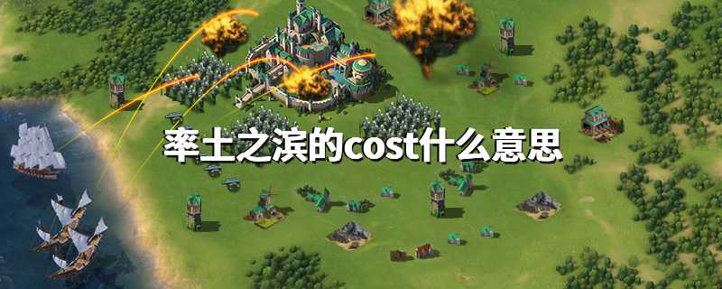 率土之滨的cost什么意思