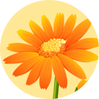 小华花圃赚钱游戏