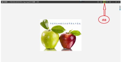 极速看图如何裁剪(4)