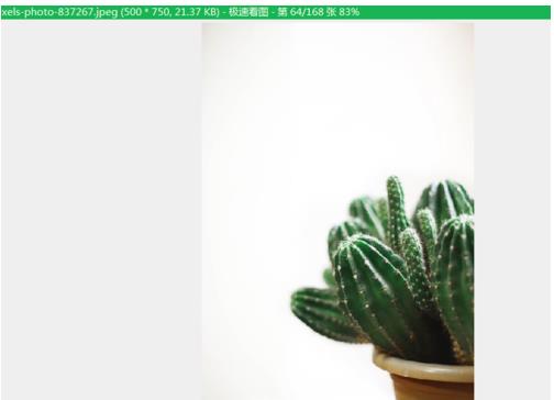 如何设置极速看图为默认工具