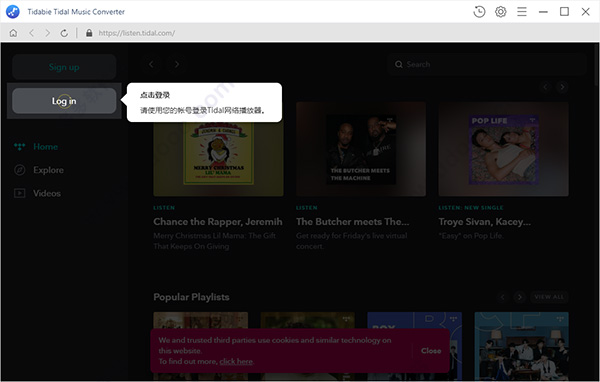 tidabie tidal music converter