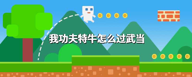 我功夫特牛怎么过武当