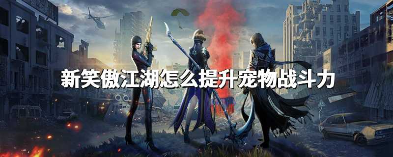 新笑傲江湖怎么提升宠物战斗力