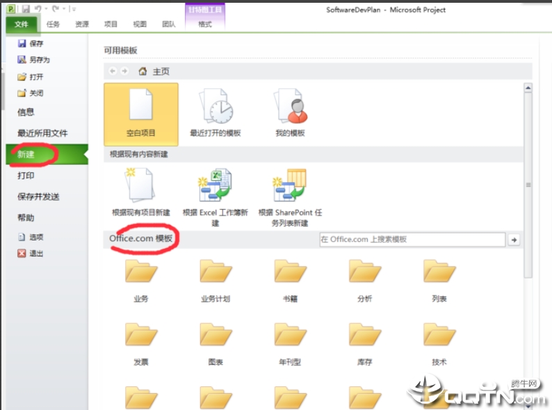project2010中文版