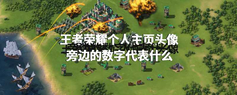 王者荣耀个人主页头像旁边的数字代表什么