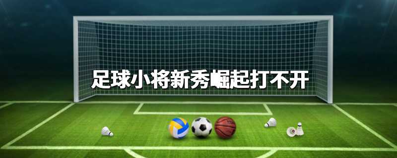 足球小将新秀崛起打不开