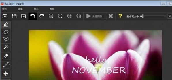 Teorex Inpaint怎么去图片水印