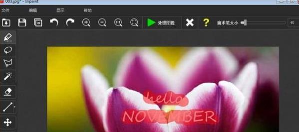 Teorex Inpaint怎么去图片水印(1)