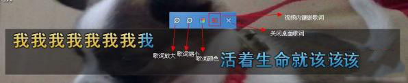 yy伴侣如何设置显示歌词(1)