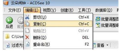 如何使用acdsee复制粘贴(2)