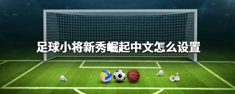 足球小将新秀崛起中文怎么设置