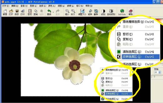 acdsee魔术棒抠图(4)
