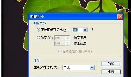 acdsee魔术棒抠图(6)