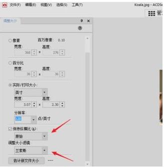 acdsee如何改照片分辨率(5)