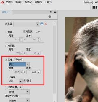 acdsee如何改照片分辨率(4)