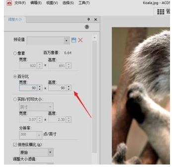 acdsee如何改照片分辨率(3)