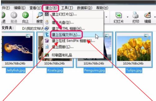acdsee如何启动压缩文件功能(2)