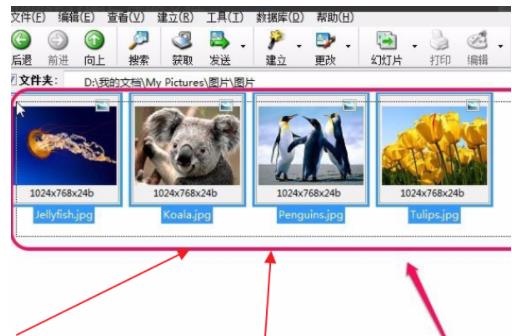 acdsee如何启动压缩文件功能(1)
