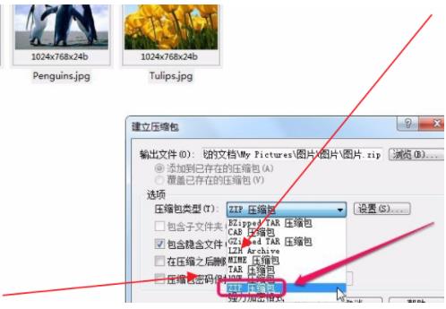 acdsee如何启动压缩文件功能(3)