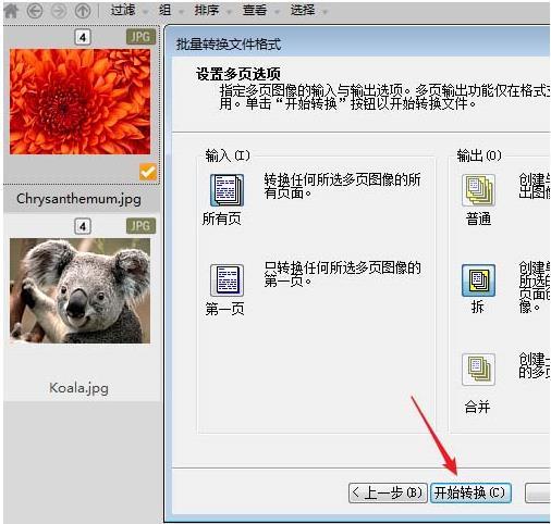 acdsee如何批量缩小照片(6)