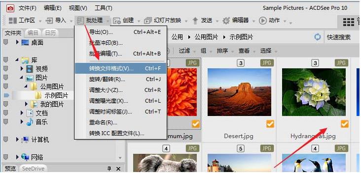 acdsee如何批量缩小照片(1)