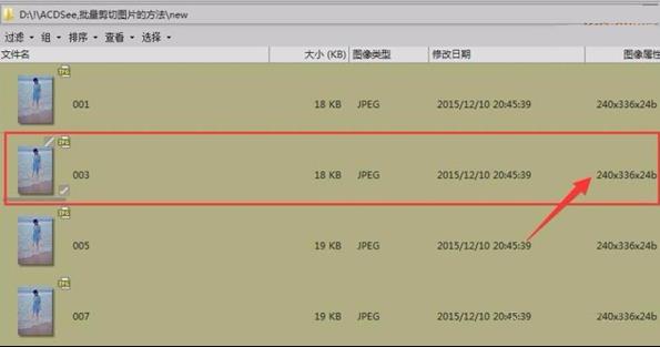怎么用acdsee批量裁剪图片大小(12)