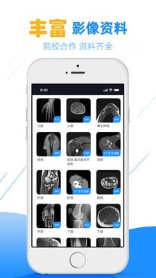 影像学图谱