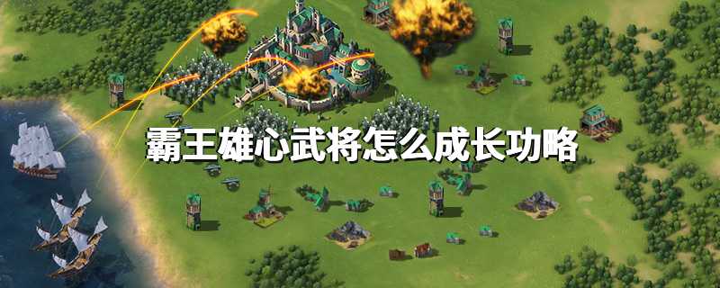 霸王雄心武将怎么成长功略