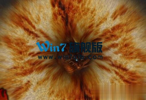 Furmark怎么使用？furmark使用方法